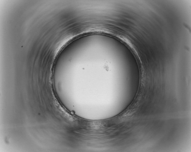 X0000099540799200805301459