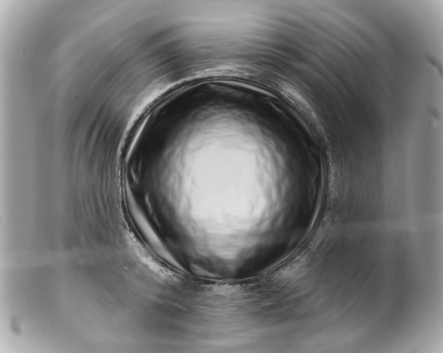 X0000099540800200805301459