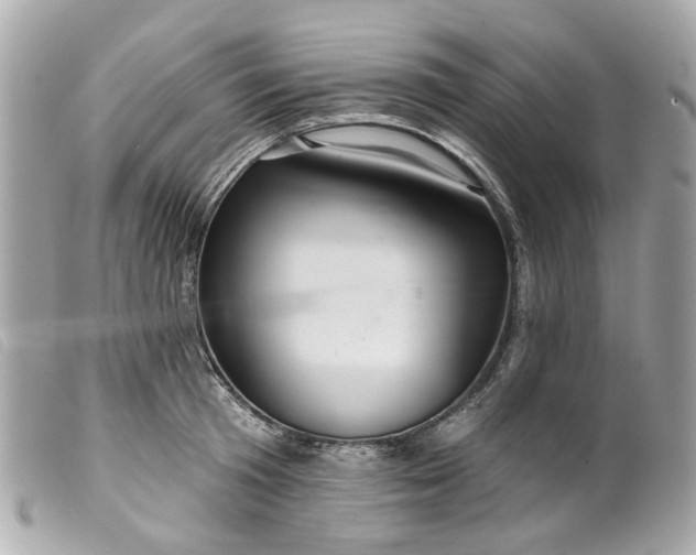 X0000099540801200805301459