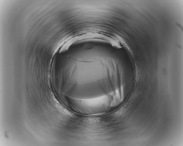 X0000099540802200805301459