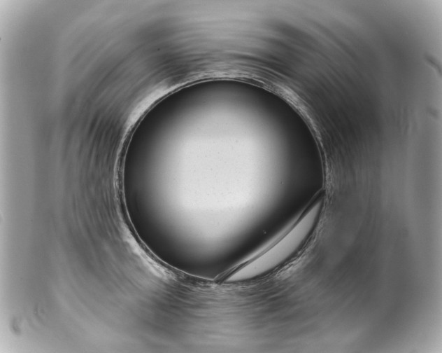 X0000099540803200805301459