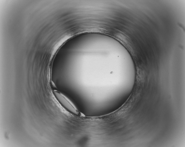 X0000099540804200805301459