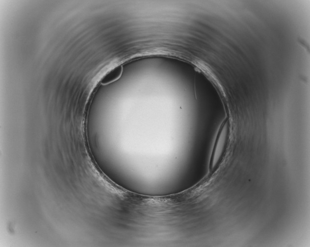 X0000099540805200805301459