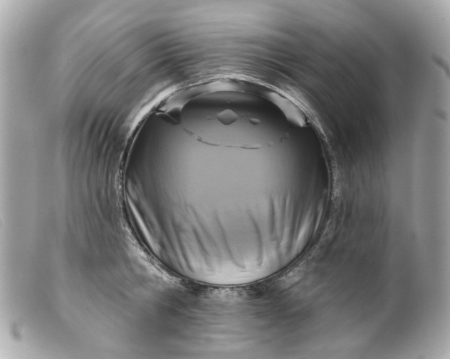 X0000099540806200805301459