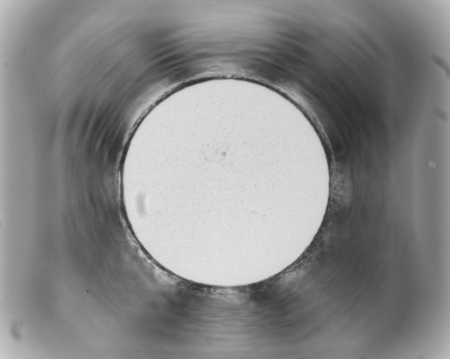 X0000099540807200805301459