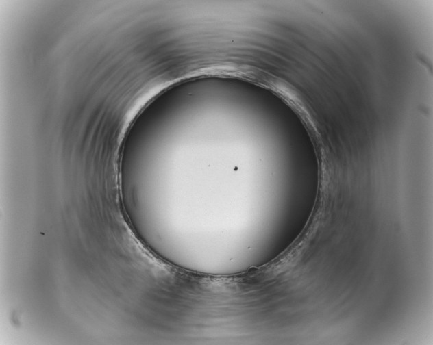 X0000099540808200805301459