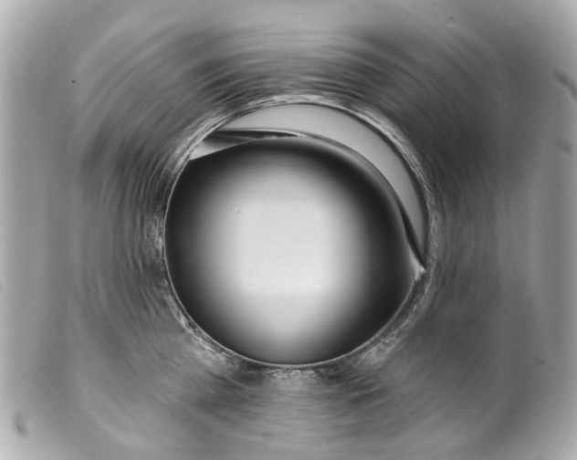 X0000099540809200805301459