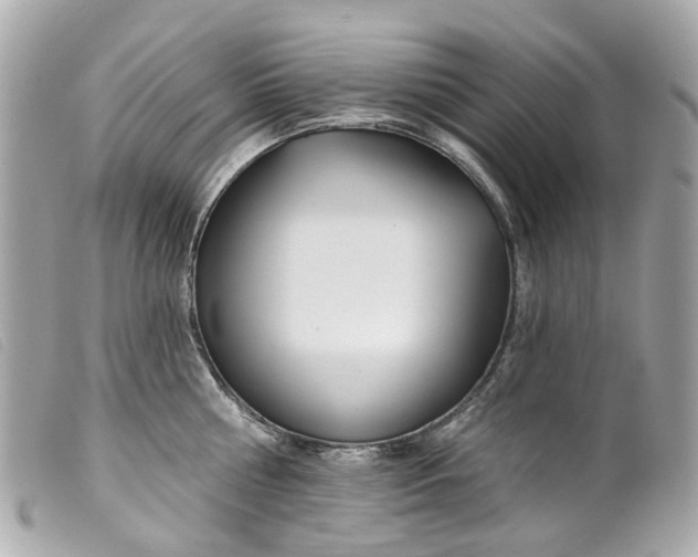 X0000099540810200805301459