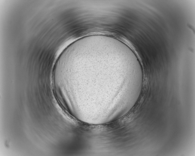 X0000099540811200805301459