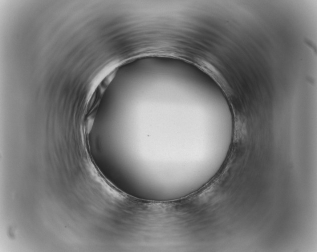 X0000099540812200805301459