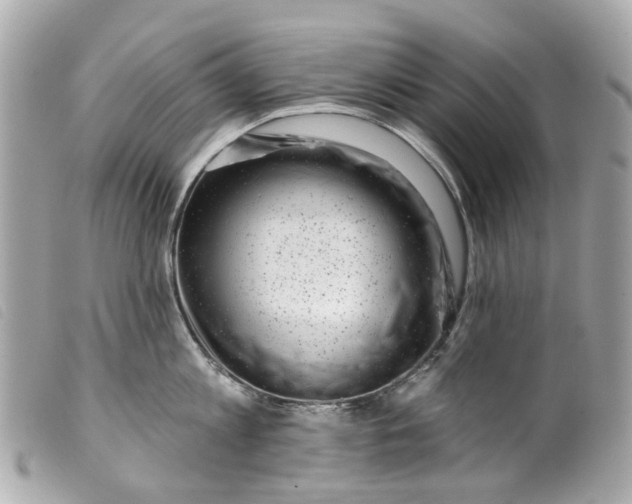 X0000099540813200805301459