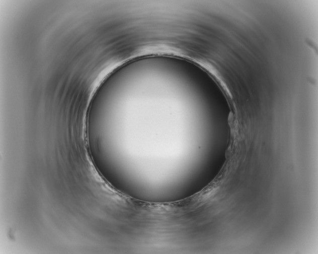 X0000099540815200805301459