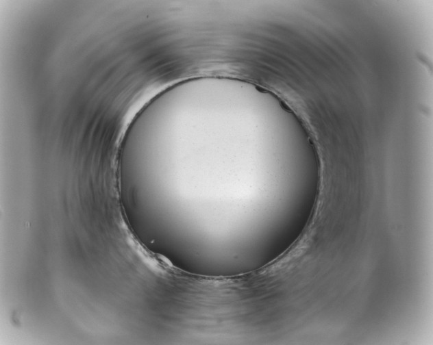 X0000099540816200805301459