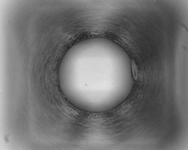 X0000099540817200805301458