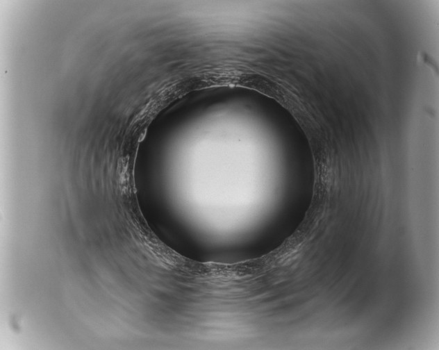 X0000099540818200805301458