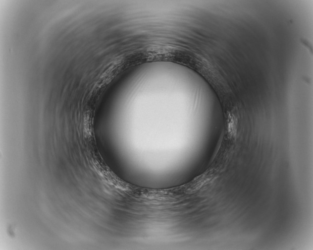 X0000099540819200805301458