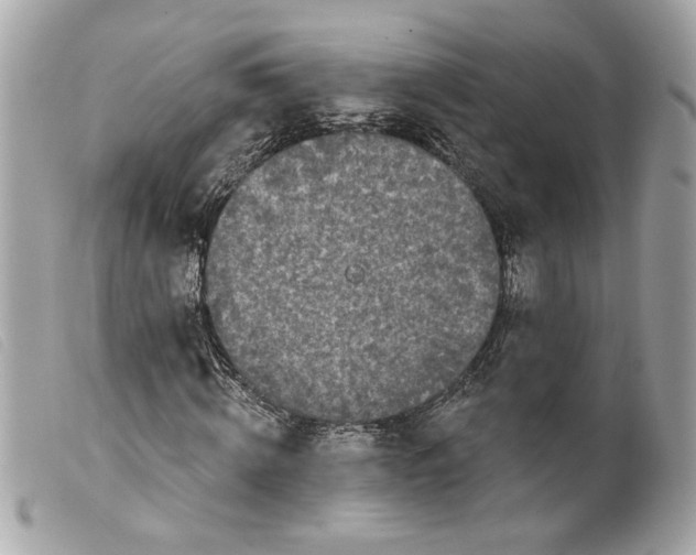 X0000099540820200805301458