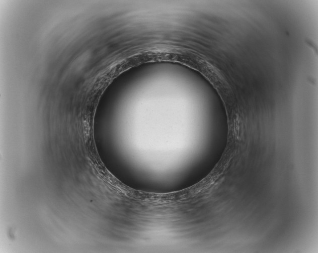 X0000099540821200805301458