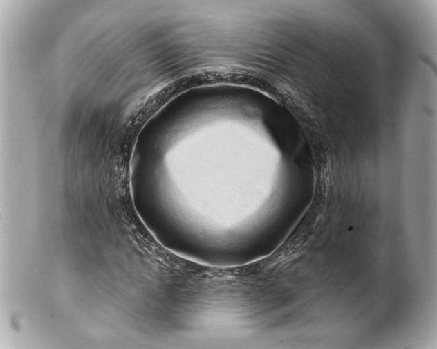 X0000099540822200805301458