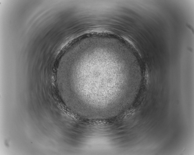 X0000099540823200805301458