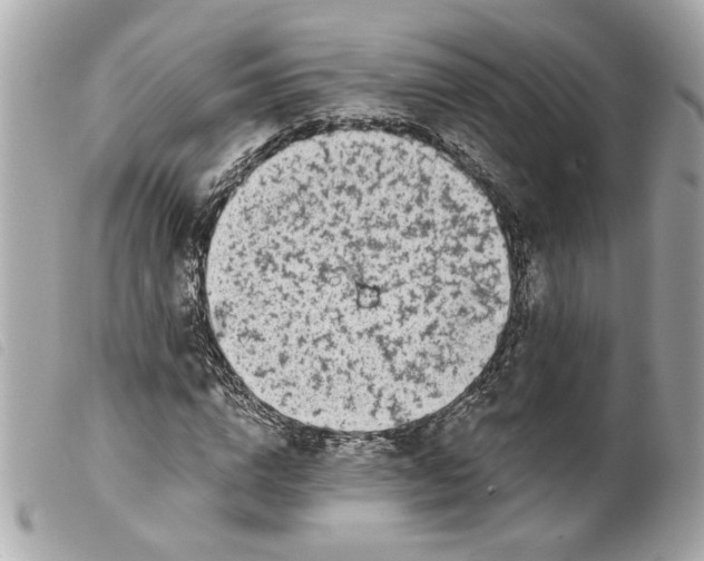 X0000099540824200805301458