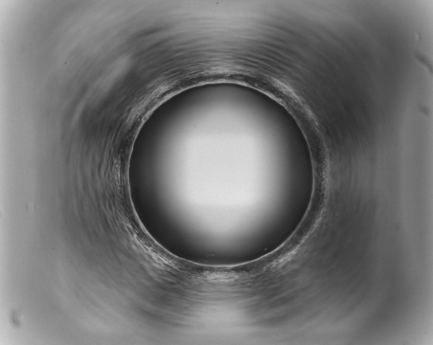 X0000099540825200805301458