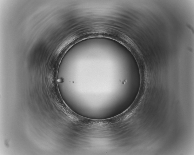 X0000099540826200805301458