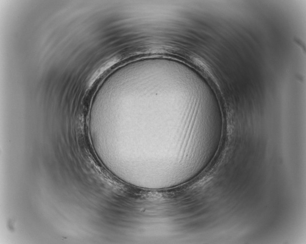 X0000099540827200805301458