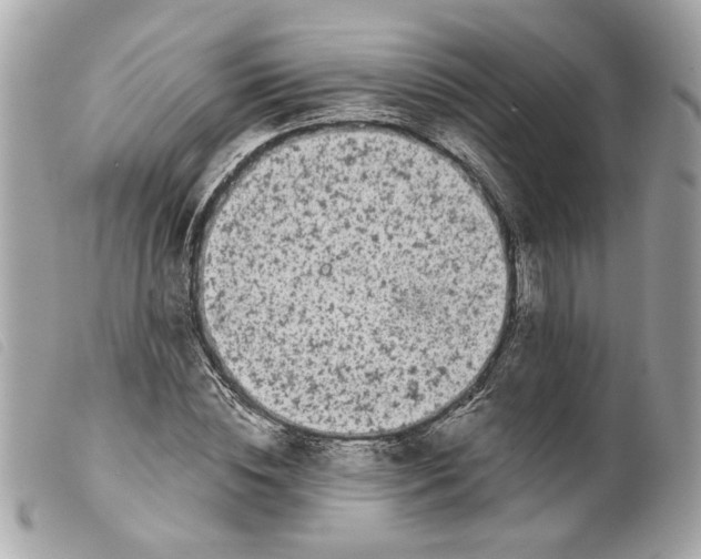 X0000099540828200805301458