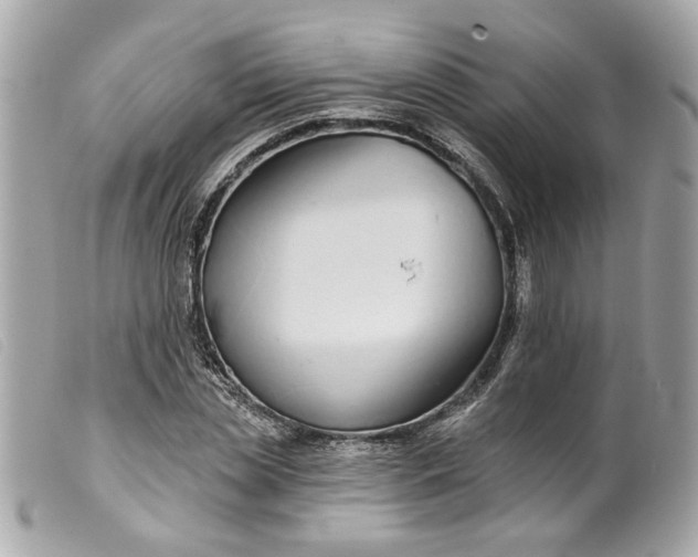 X0000099540829200805301458