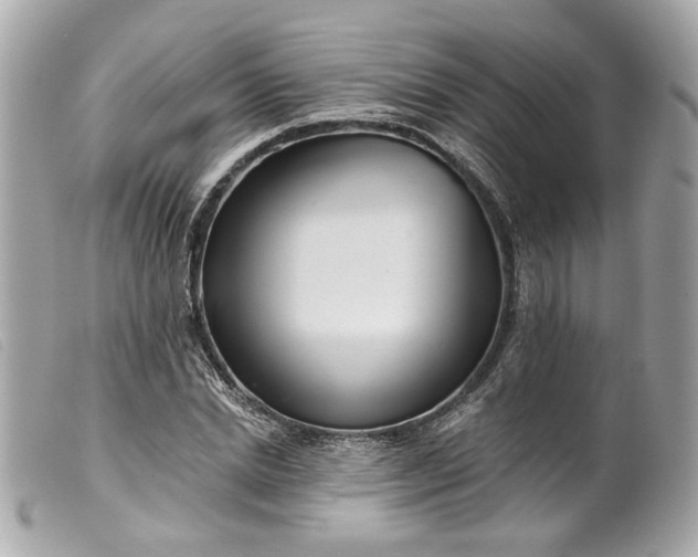 X0000099540830200805301458