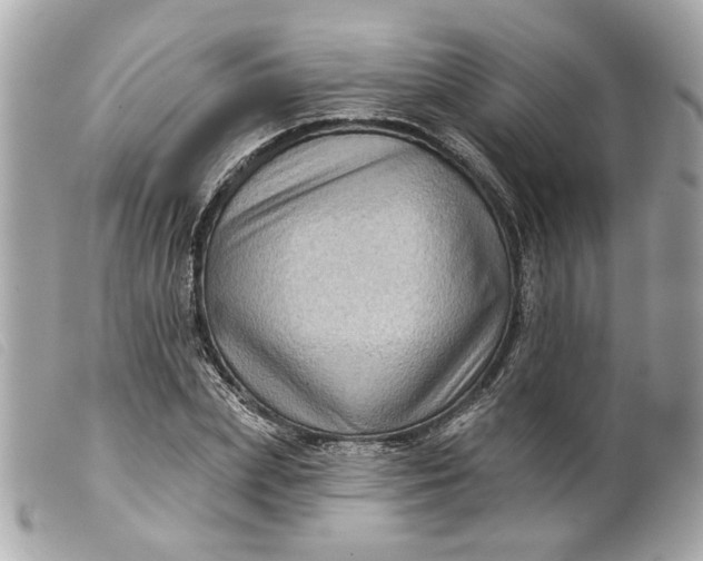 X0000099540831200805301458