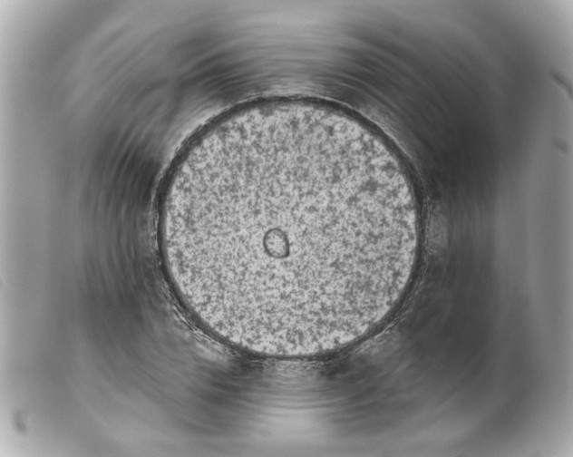 X0000099540832200805301458