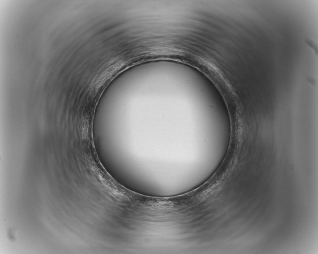 X0000099540833200805301458