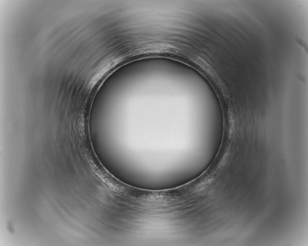 X0000099540834200805301458