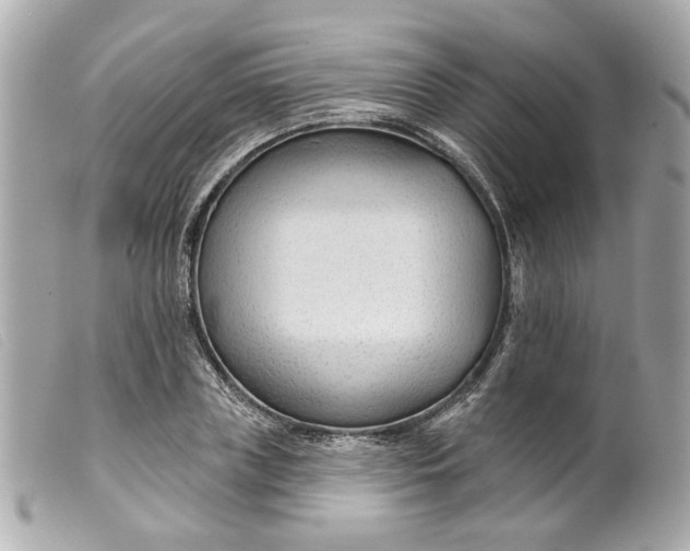 X0000099540835200805301458