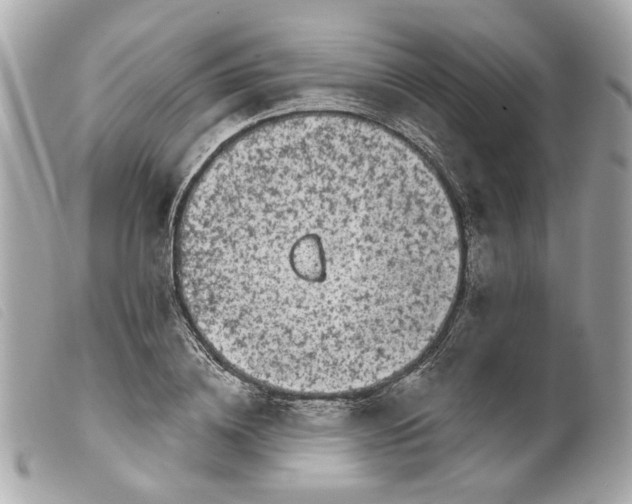 X0000099540836200805301458