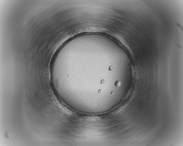 X0000099540837200805301458