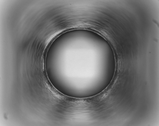 X0000099540838200805301459