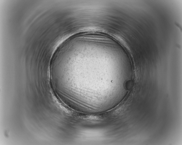 X0000099540839200805301459