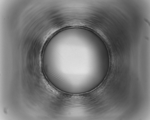 X0000099540840200805301459