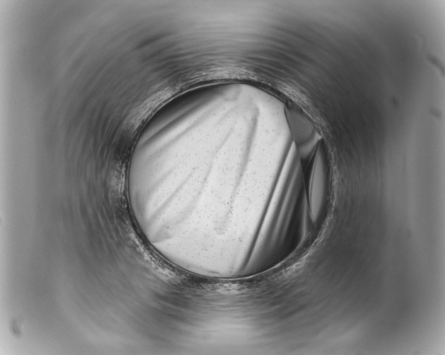 X0000099540841200805301459