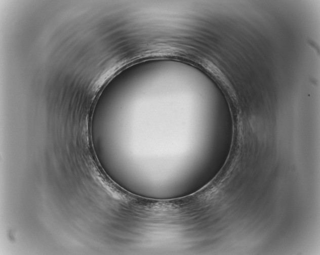 X0000099540842200805301459