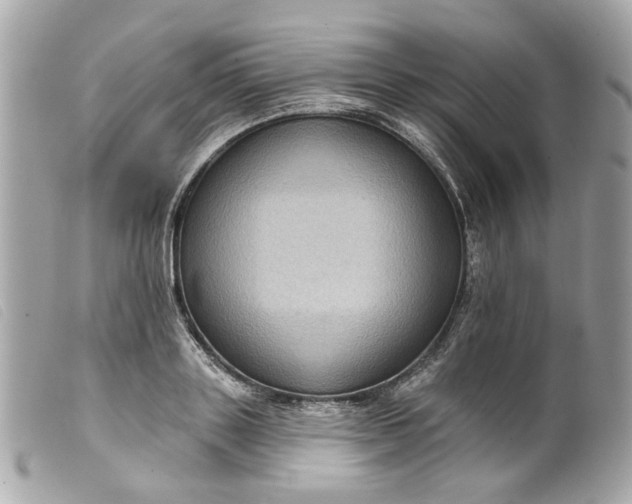 X0000099540843200805301459