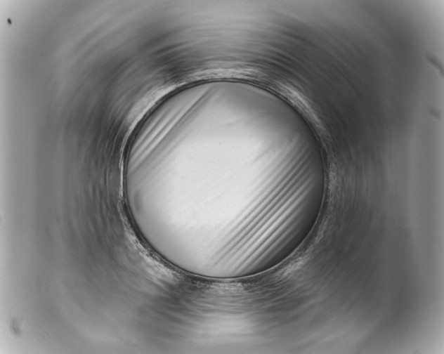 X0000099540844200805301459