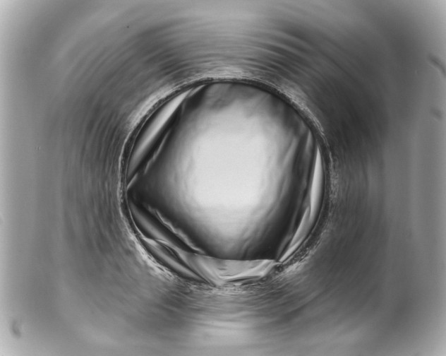 X0000099540845200805301459