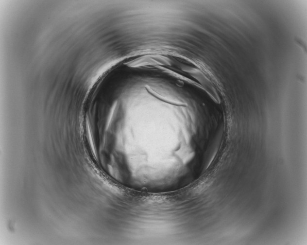 X0000099540846200805301459