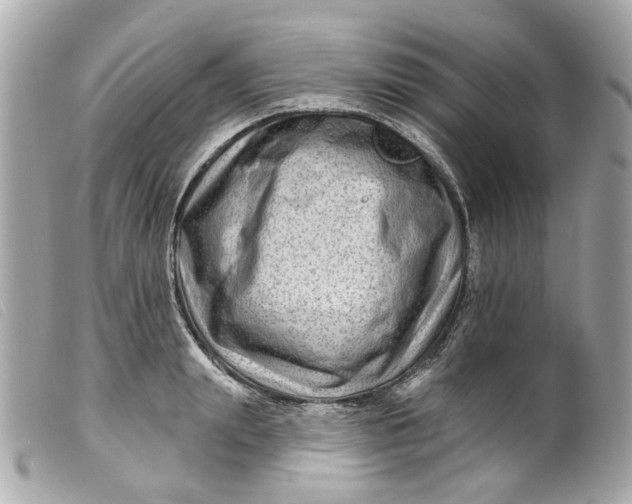 X0000099540847200805301459