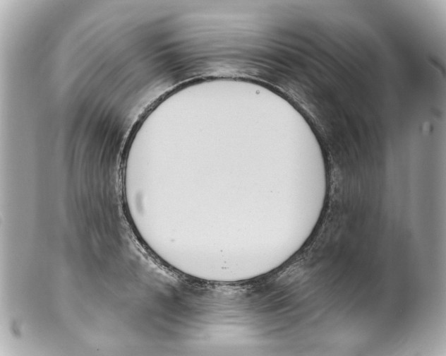 X0000099540848200805301459