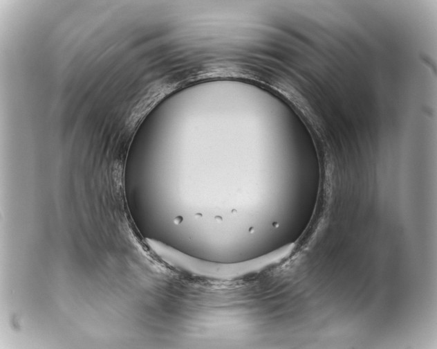 X0000099540849200805301459